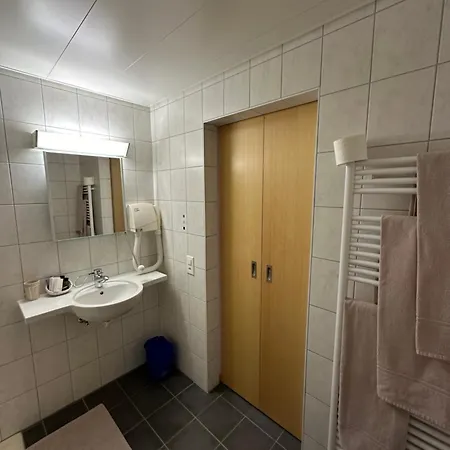 Hotel Aux Deux Sapins Montricher