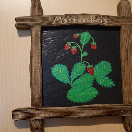 Aux Deux Sapins Hotel 3*