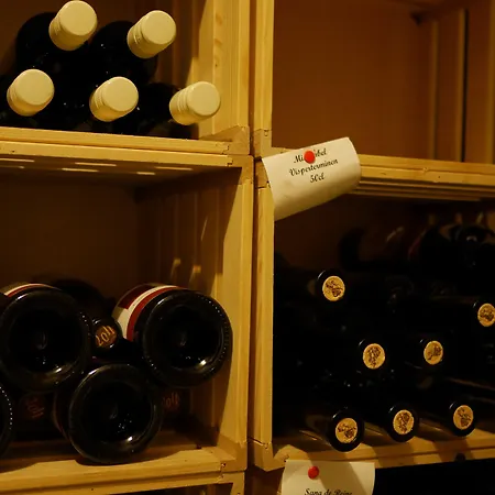 Aux Deux Sapins 3* Montricher