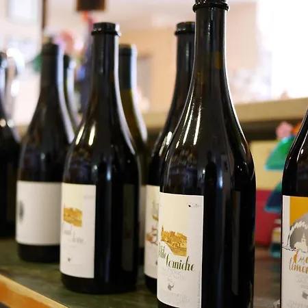 Aux Deux Sapins 3* Montricher