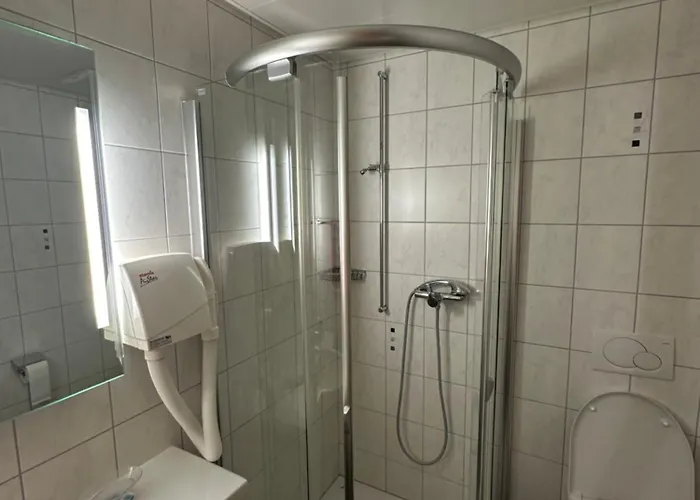 Aux Deux Sapins 3* Montricher