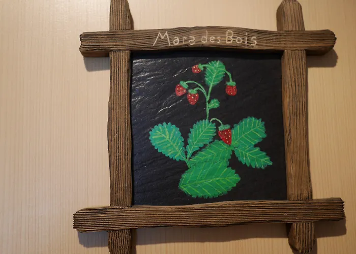 Aux Deux Sapins Hotel 3*