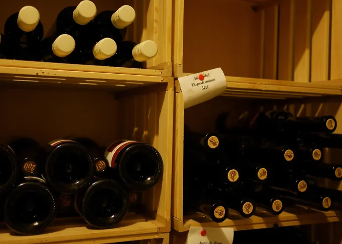 Aux Deux Sapins 3* Montricher