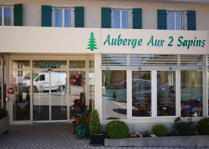 Aux Deux Sapins Hotel 3*