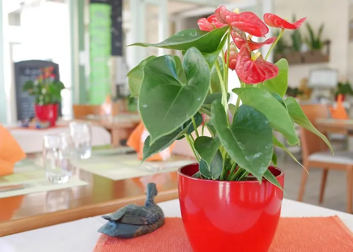 Hotel Aux Deux Sapins Montricher