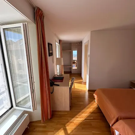 Aux Deux Sapins Hotel Montricher