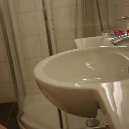 Aux Deux Sapins Hotel Montricher